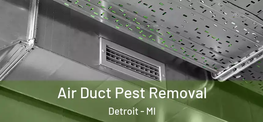 Air Duct Pest Removal Detroit - MI