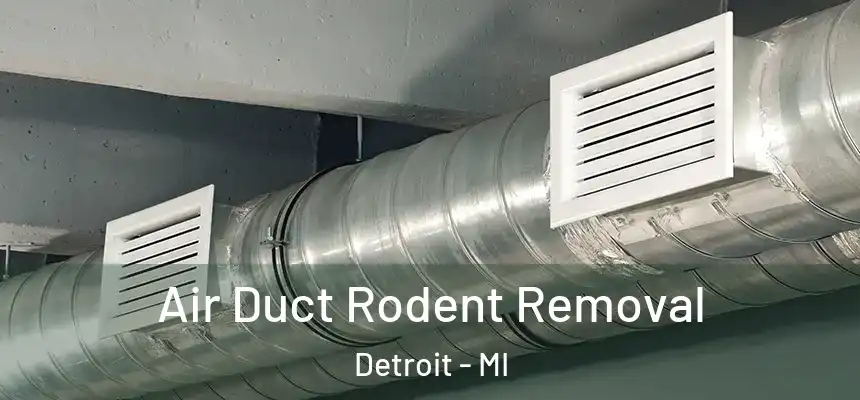  Air Duct Rodent Removal Detroit - MI