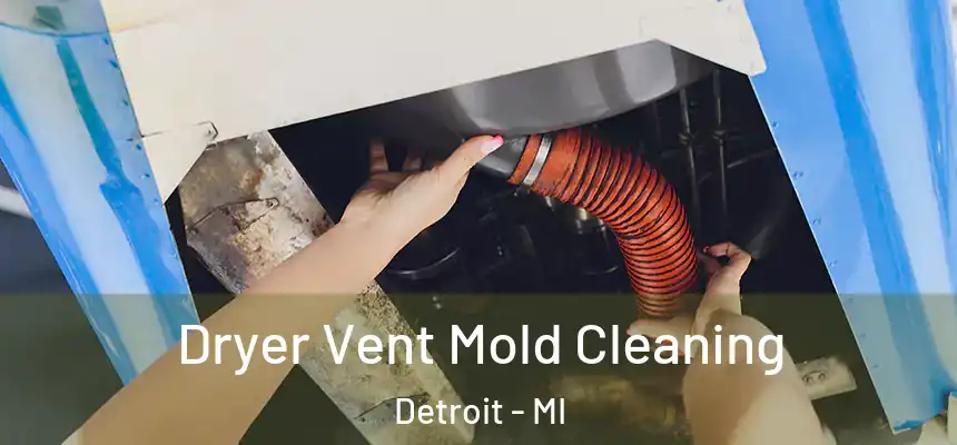 Dryer Vent Mold Cleaning Detroit - MI