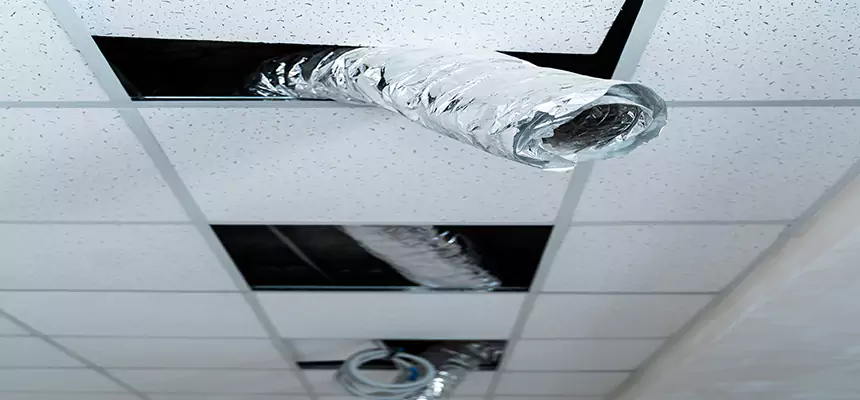 Our Air Duct Pet Hair Removal Services in Detroit, MI