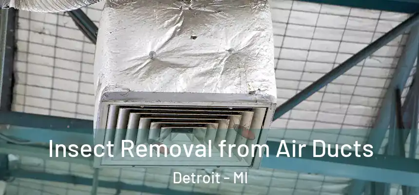 Insect Removal from Air Ducts Detroit - MI