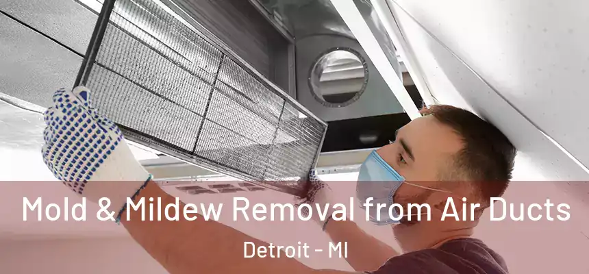 Mold & Mildew Removal from Air Ducts Detroit - MI