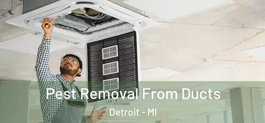  Pest Removal From Ducts Detroit - MI