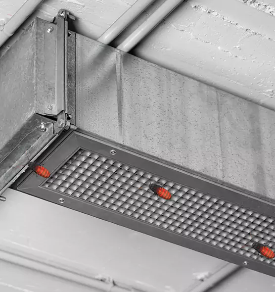 Affordable Insect Removal from Air Ducts in Detroit, MI