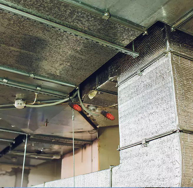 Why Homeowners & Businesses Trust Us Detroit, MI?