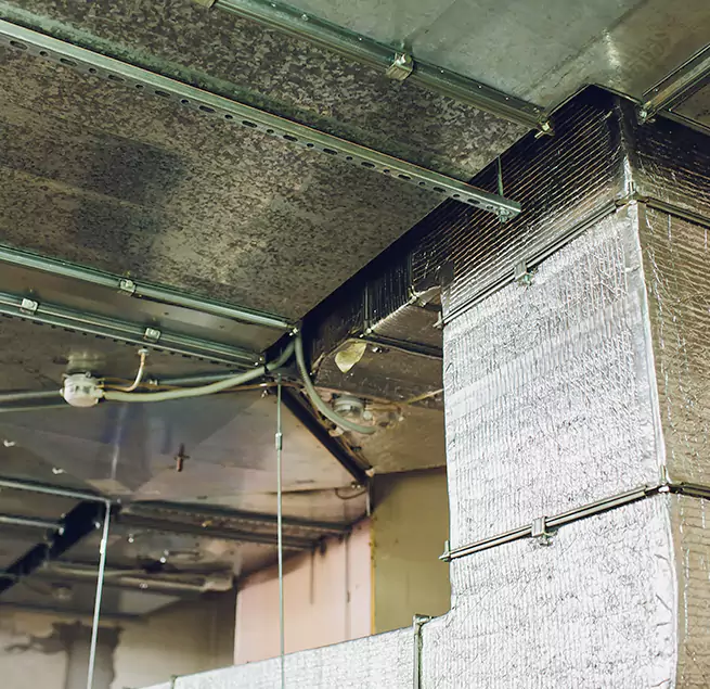 Why Homeowners & Businesses Trust Us in Detroit, MI?